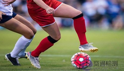 足球運動員護脛 足球運動員護脛